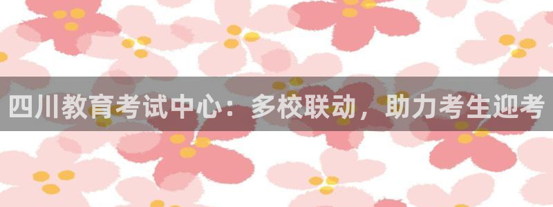 安信12软件介绍