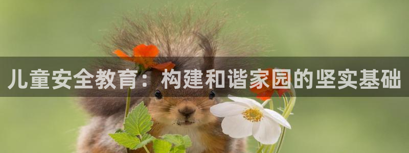 安信12怎么下载