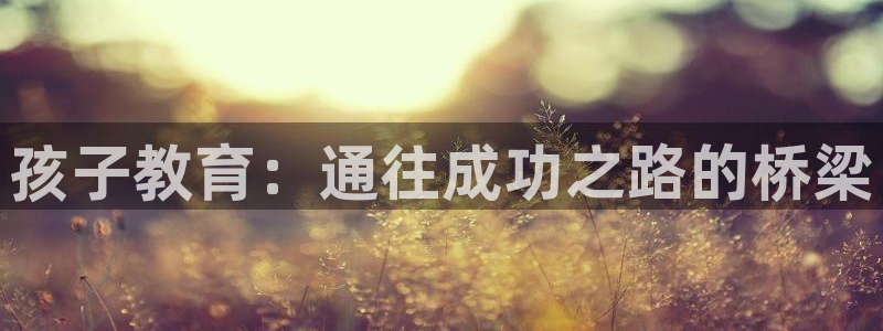 安信12是啥