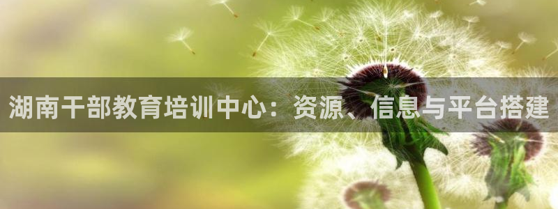安立信12改装