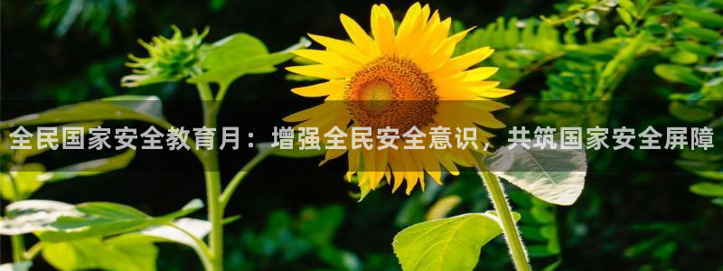 安信4娱乐去55 12