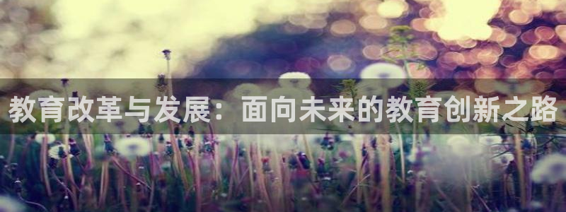 安信12是做什么