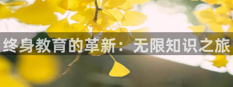 安信12是正轨网站吗