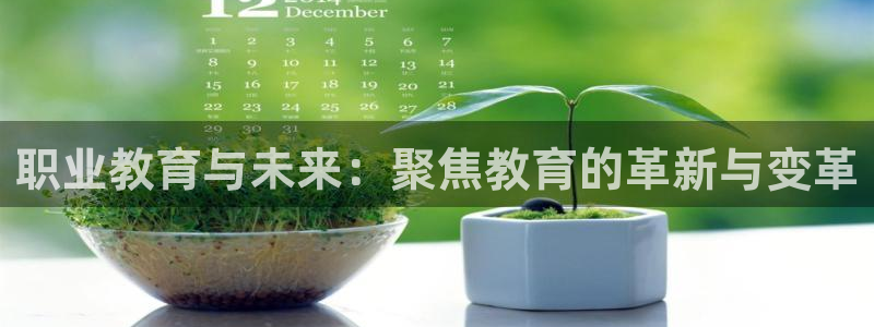 安信12是正规平台吗