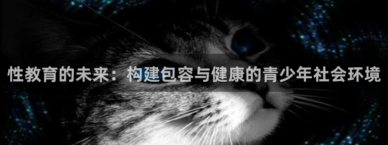 安信12专用挂机