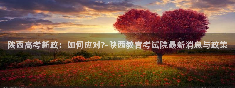 安信可wb12