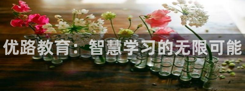 安信12平台的网址