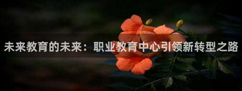 安信12网站
