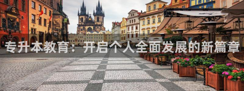 安信证券手机壳12