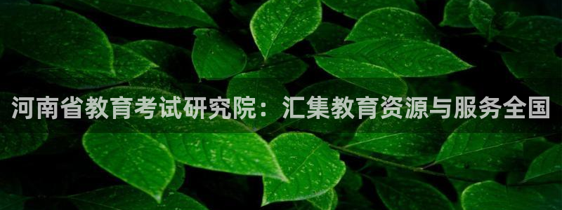 安信12彩票