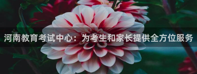 安信12主管