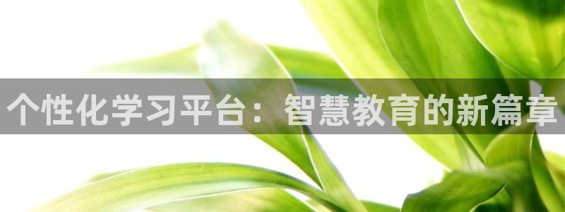 安信12包赔
