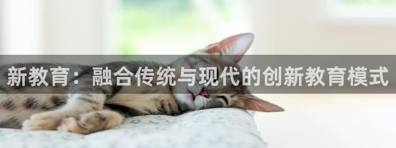 安信12网页版