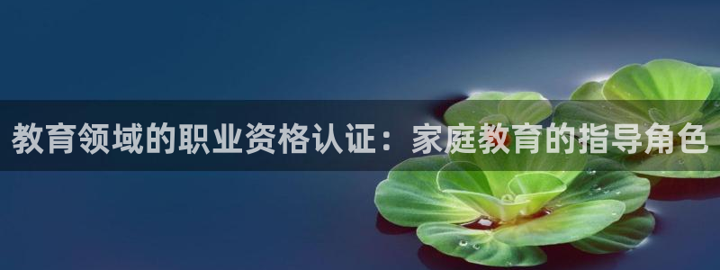 12月安信推荐