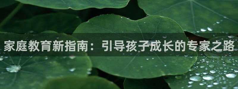 安信12周年庆典