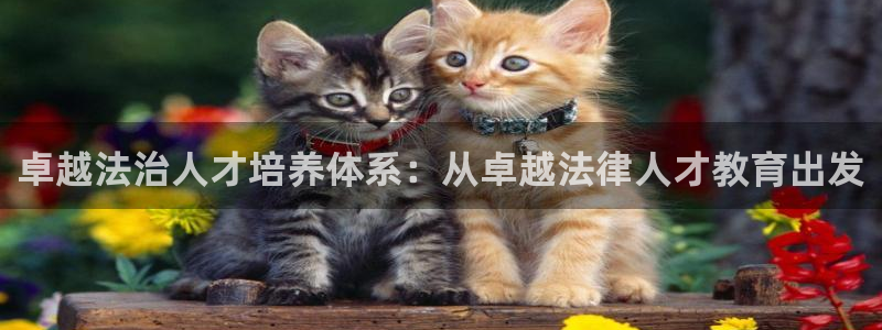 如何注销安信12软件