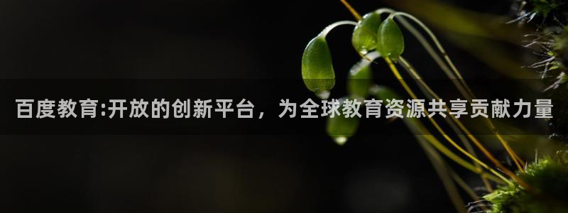 安信12正版下载