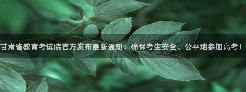 安信12是正规平台吗