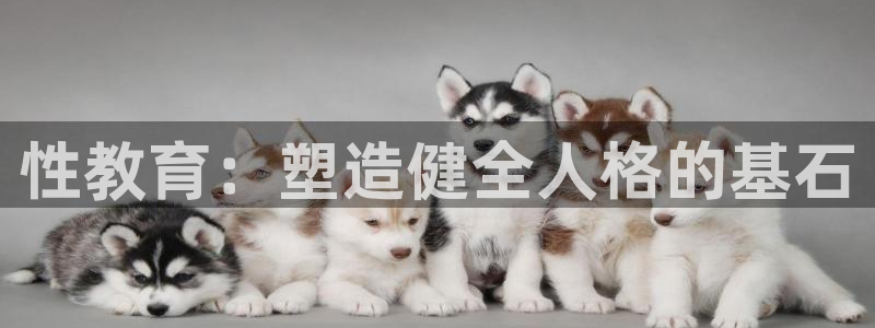 安信12彩票在线网址