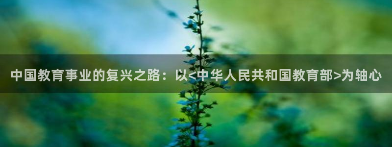 安信12娱乐开户