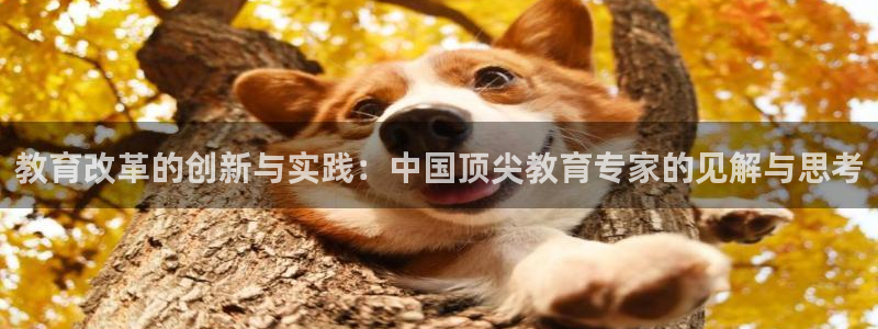 安信安盈12最新消息