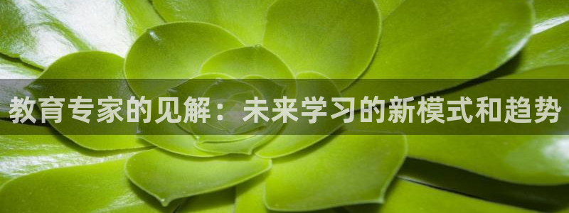 安信12娱乐平台
