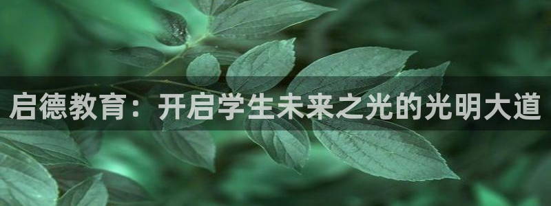 安信12是啥