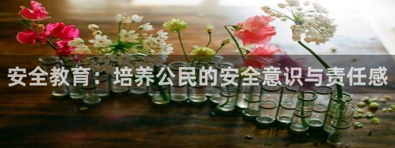 安信安赢12号