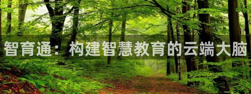安信12级灯牌