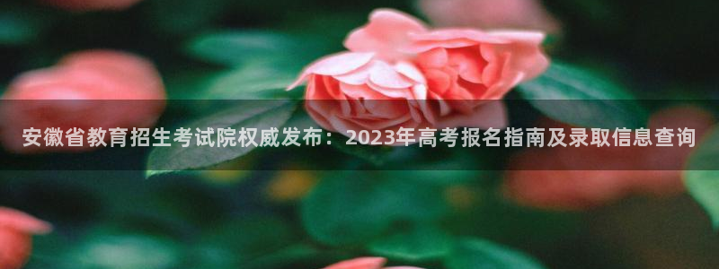 安信12是什么