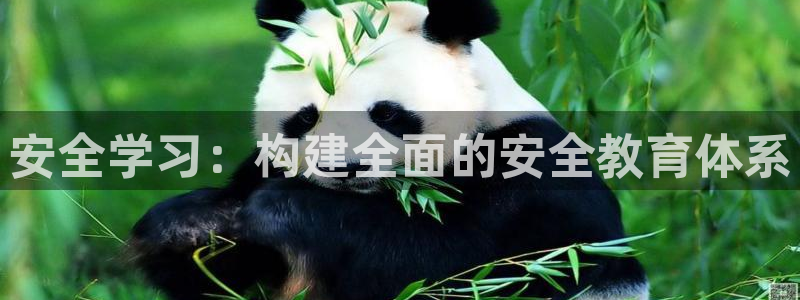 安信可12f12e