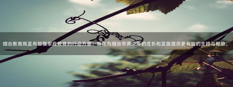 安信312 12