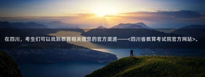安信证券手机壳12