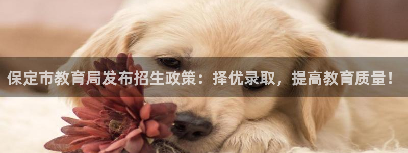 安信12级粉丝团福利