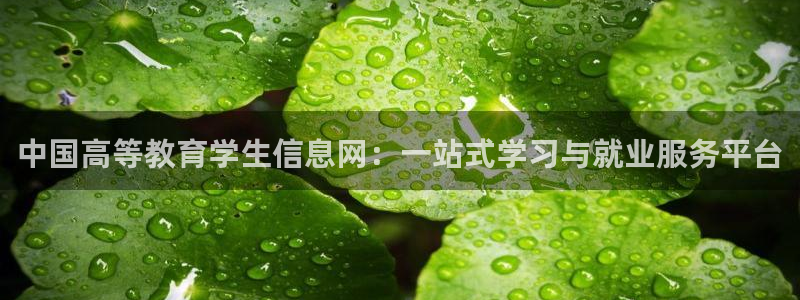 安信可12f代码