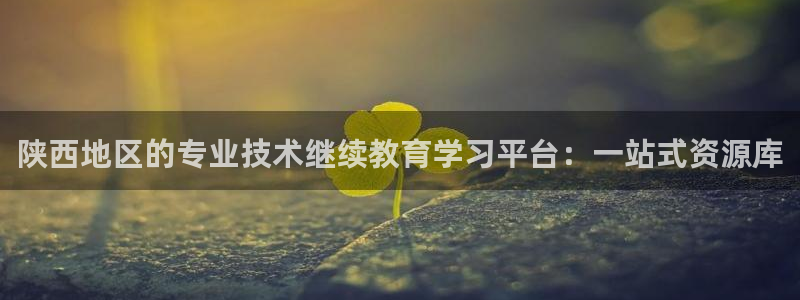 安信12平台介绍