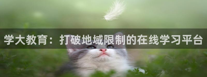 安信12靠谱吗