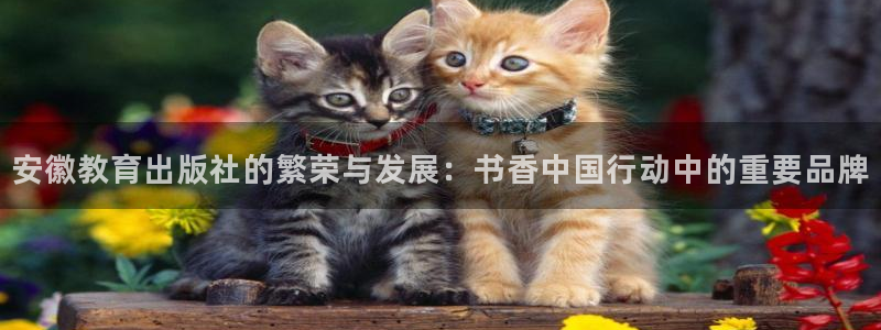 安信t12