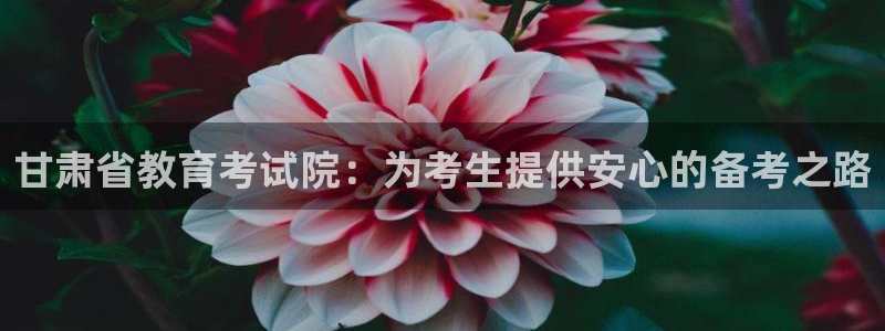 下载安信12