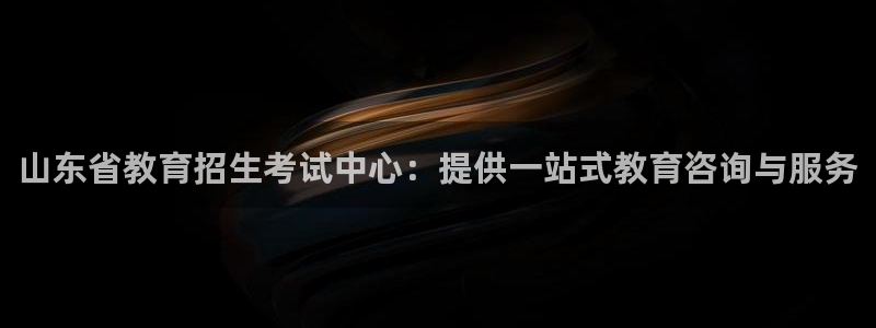 安信312 12