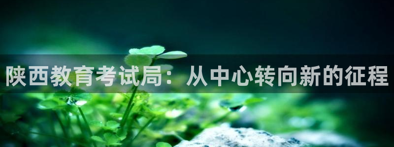 安信12真假