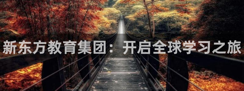 安信卓越12月