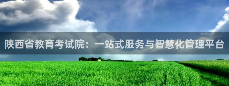 安信安翼 12账号