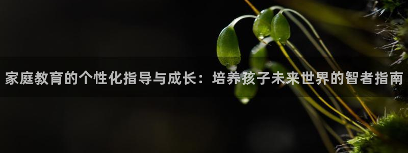 安信12如何开代理