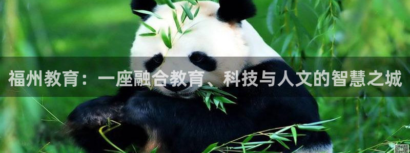 如何注销安信12软件