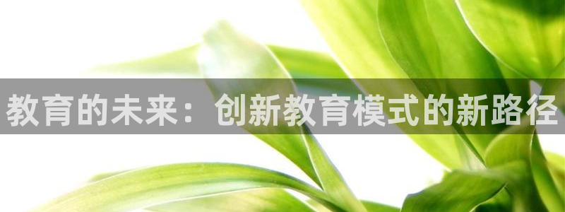 安信可12f12e