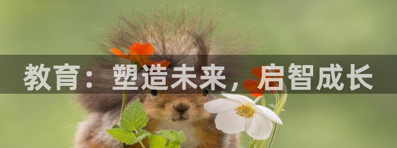 安信可 esp-12