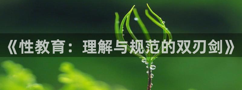 安信12是什么软件