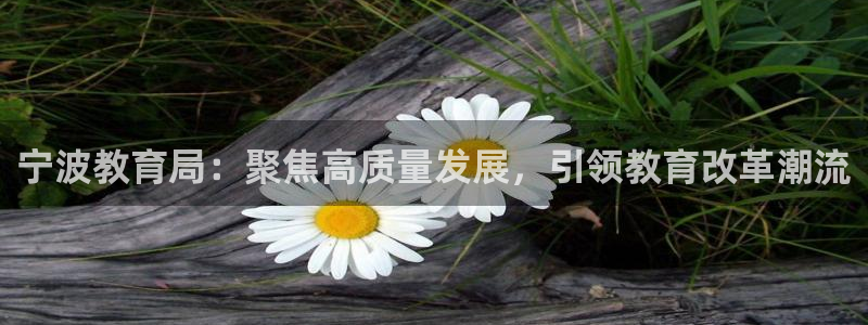 安信12彩票在线网址