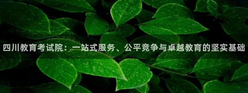 安信12负责人